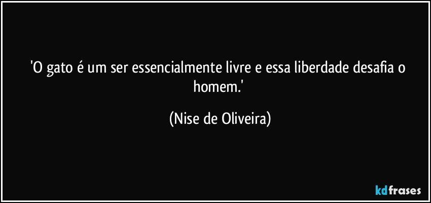 'O gato é um ser essencialmente livre e essa liberdade desafia o homem.' (Nise de Oliveira)