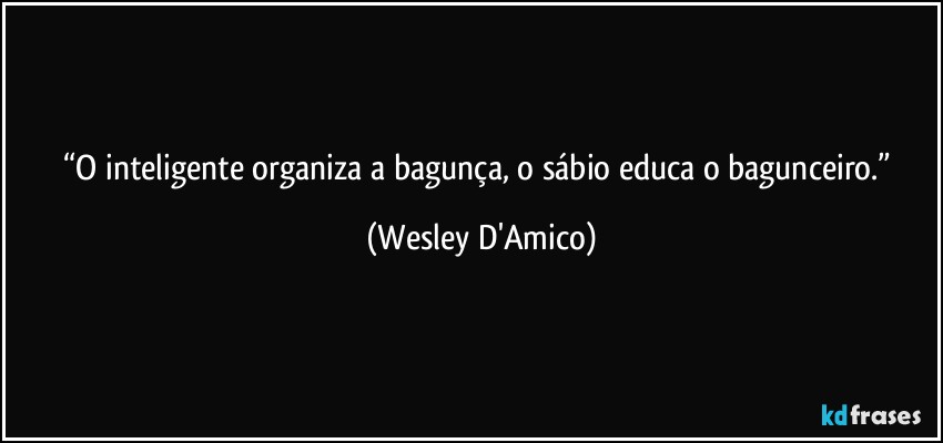 “O inteligente organiza a bagunça, o sábio educa o bagunceiro.” (Wesley D'Amico)