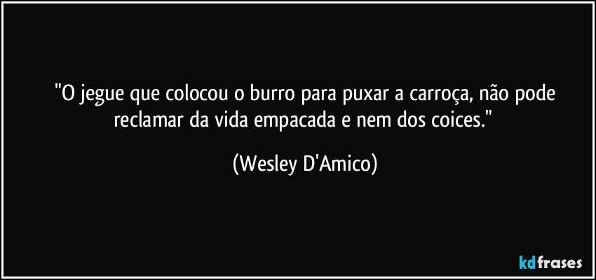 ⁠"O jegue que colocou o burro para puxar a carroça, não pode reclamar da vida empacada e nem dos coices." (Wesley D'Amico)