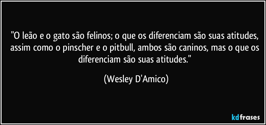 "O leão e o gato são felinos; o que os diferenciam são suas atitudes, assim como o pinscher e o pitbull, ambos são caninos, mas o que os diferenciam são suas atitudes." (Wesley D'Amico)