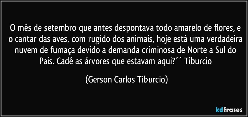 O mês de setembro que antes despontava todo amarelo de flores, e o cantar das aves, com rugido dos animais, hoje está uma verdadeira nuvem de fumaça devido a demanda criminosa de Norte a Sul do País. Cadê as árvores que estavam aqui?´´ Tiburcio (Gerson Carlos Tiburcio)