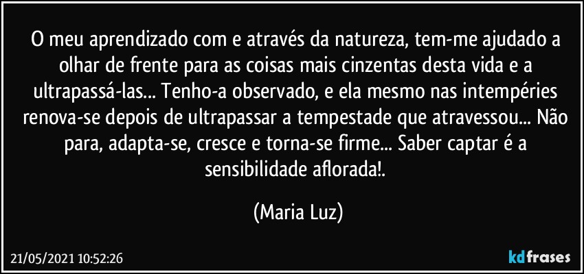 O meu aprendizado com e através da natureza, tem-me ajudado a  olhar de frente para as coisas mais cinzentas desta vida e a ultrapassá-las... Tenho-a observado, e ela mesmo nas intempéries renova-se depois de ultrapassar a tempestade que atravessou... Não para, adapta-se, cresce e torna-se firme...   Saber captar é a sensibilidade aflorada!. (Maria Luz)