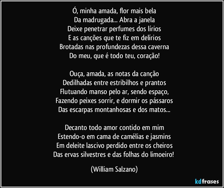 Ó, minha amada, flor mais bela
Da madrugada... Abra a janela
Deixe penetrar perfumes dos lírios
E as canções que te fiz em delírios
Brotadas nas profundezas dessa caverna
Do meu, que é todo teu, coração!

Ouça, amada, as notas da canção
Dedilhadas entre estribilhos e prantos
Flutuando manso pelo ar, sendo espaço,
Fazendo peixes sorrir, e dormir os pássaros
Das escarpas montanhosas e dos matos...

Decanto todo amor contido em mim
Estendo-o em cama de camélias e jasmins
Em deleite lascivo perdido entre os cheiros
Das ervas silvestres e das folhas do limoeiro! (William Salzano)