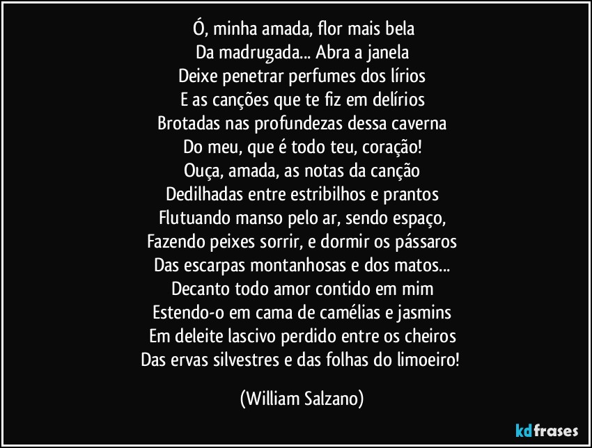 ⁠Ó, minha amada, flor mais bela
Da madrugada... Abra a janela
Deixe penetrar perfumes dos lírios
E as canções que te fiz em delírios
Brotadas nas profundezas dessa caverna
Do meu, que é todo teu, coração!
Ouça, amada, as notas da canção
Dedilhadas entre estribilhos e prantos
Flutuando manso pelo ar, sendo espaço,
Fazendo peixes sorrir, e dormir os pássaros
Das escarpas montanhosas e dos matos...
Decanto todo amor contido em mim
Estendo-o em cama de camélias e jasmins
Em deleite lascivo perdido entre os cheiros
Das ervas silvestres e das folhas do limoeiro! (William Salzano)