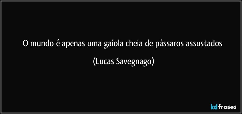 O mundo é apenas uma gaiola cheia de pássaros assustados (Lucas Savegnago)