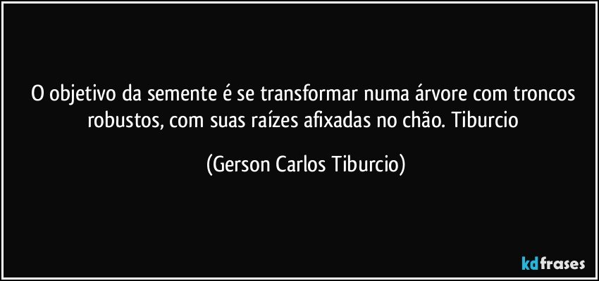 O objetivo da semente é se transformar numa árvore com troncos robustos, com suas raízes afixadas no chão. Tiburcio (Gerson Carlos Tiburcio)