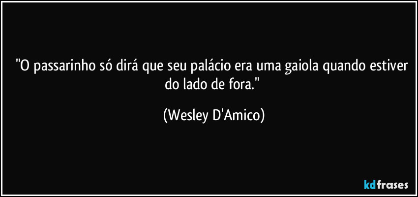 "O passarinho só dirá que seu palácio era uma gaiola quando estiver do lado de fora." (Wesley D'Amico)