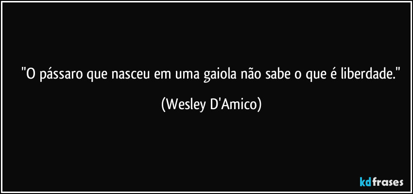 ⁠"O pássaro que nasceu em uma gaiola não sabe o que é liberdade." (Wesley D'Amico)