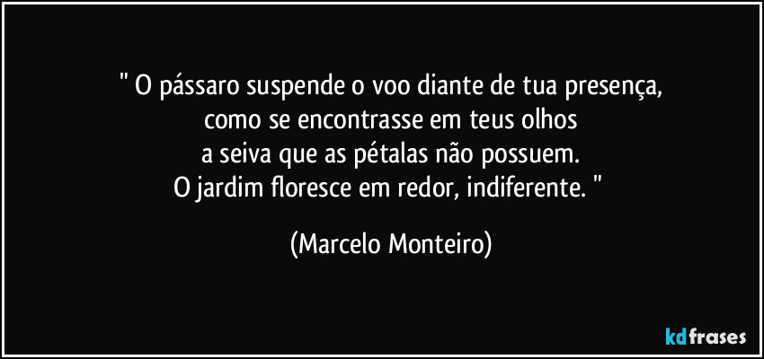 " O pássaro suspende o voo diante de tua presença,
como se encontrasse em teus olhos
a seiva que as pétalas não possuem.
O jardim floresce em redor, indiferente. " (Marcelo Monteiro)