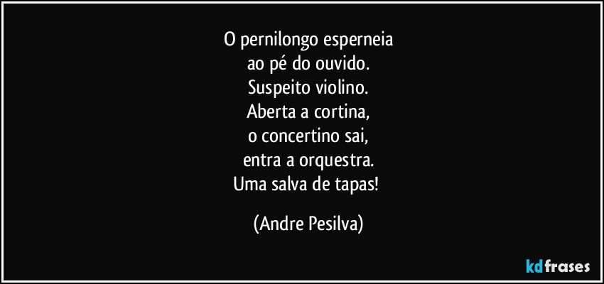 O pernilongo esperneia
ao pé do ouvido.
Suspeito violino.
Aberta a cortina,
o concertino sai,
entra a orquestra.
Uma salva de tapas! (Andre Pesilva)
