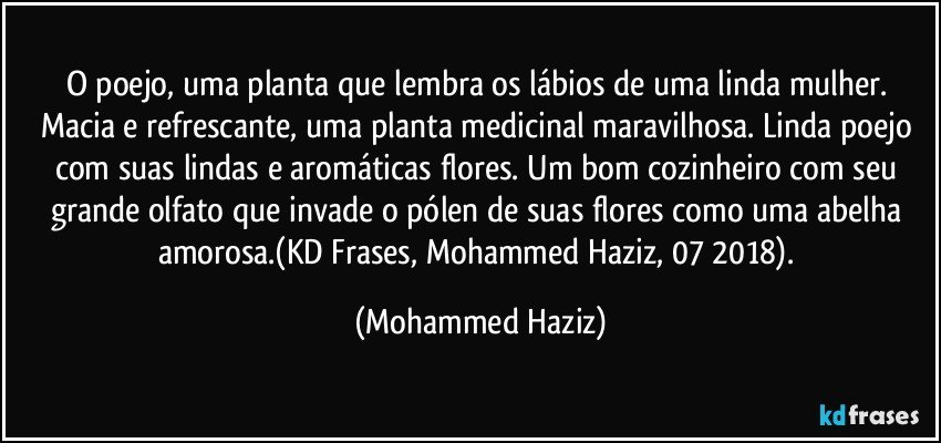 O poejo, uma planta que lembra os lábios de uma linda mulher. Macia e refrescante, uma planta medicinal maravilhosa. Linda poejo com suas lindas e aromáticas flores. Um bom cozinheiro com seu grande olfato que invade o pólen de suas flores como uma abelha amorosa.(KD Frases, Mohammed Haziz, 07/2018). (Mohammed Haziz)