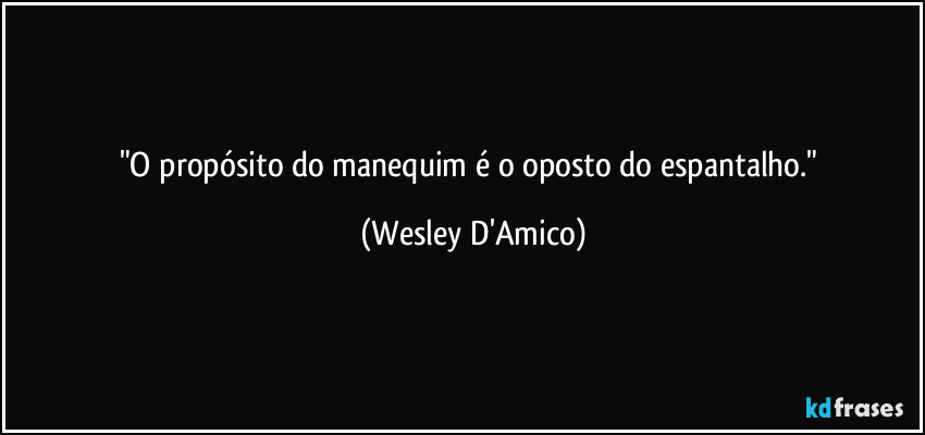 "O propósito do manequim é o oposto do espantalho." (Wesley D'Amico)