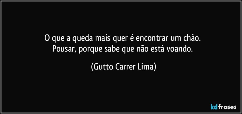 O que a queda mais quer é encontrar um chão. 
Pousar, porque sabe que não está voando. (Gutto Carrer Lima)