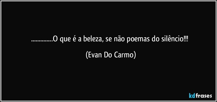 ...O que é a beleza, se não poemas do silêncio!!! (Evan Do Carmo)