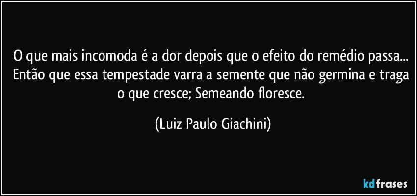 O que mais incomoda é a dor depois que o efeito do remédio passa... Então que essa tempestade varra a semente que não germina e traga o que cresce; Semeando floresce. (Luiz Paulo Giachini)