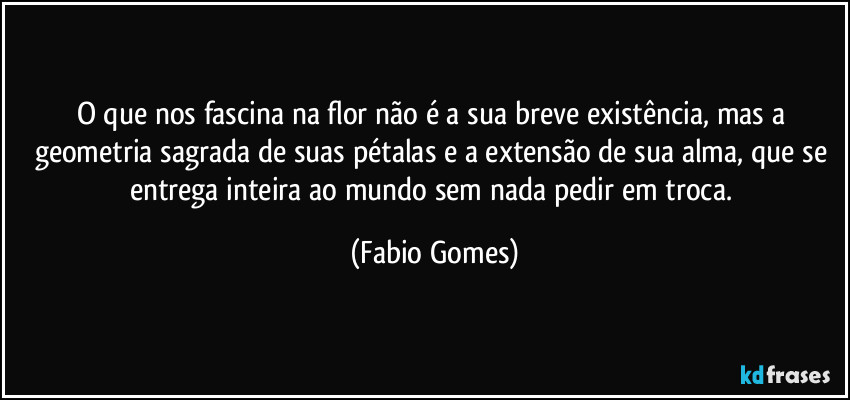 O que nos fascina na flor não é a sua breve existência, mas a geometria sagrada de suas pétalas e a extensão de sua alma, que se entrega inteira ao mundo sem nada pedir em troca. (Fabio Gomes)