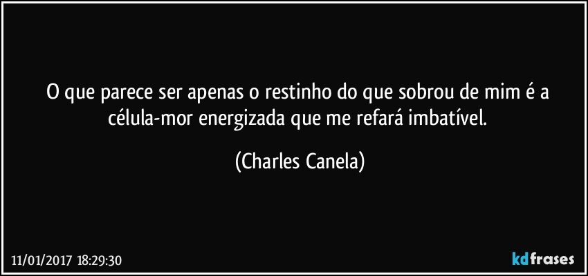 O que parece ser apenas o restinho do que sobrou de mim é a célula-mor energizada que me refará imbatível. (Charles Canela)