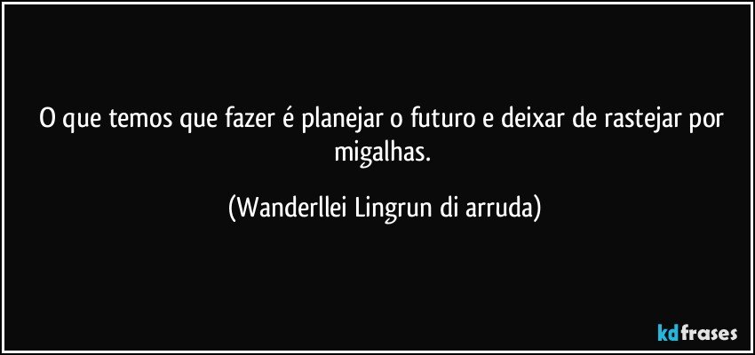 O que temos que fazer é planejar o futuro e deixar de rastejar por migalhas. (Wanderllei Lingrun di arruda)