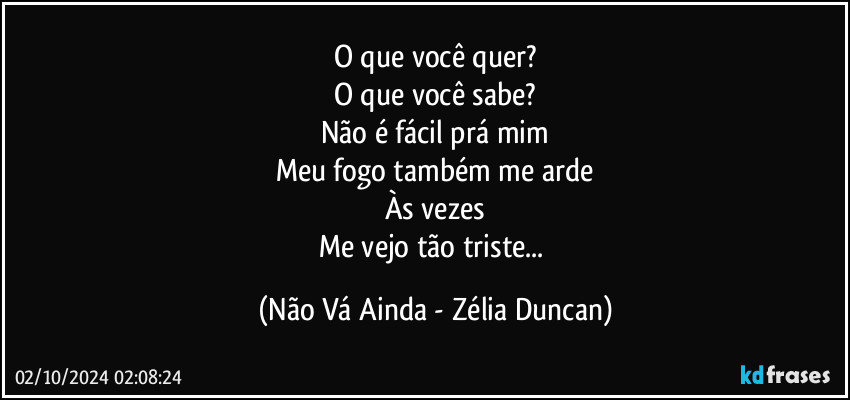 O que você quer?
O que você sabe?
Não é fácil prá mim
Meu fogo também me arde
Às vezes
Me vejo tão triste... (Não Vá Ainda - Zélia Duncan)