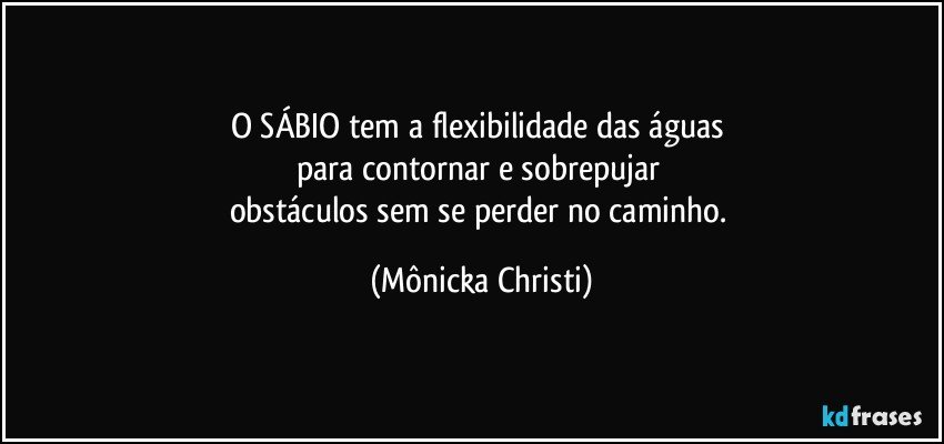 O SÁBIO tem a flexibilidade das águas 
para contornar e sobrepujar 
obstáculos sem se perder no caminho. (Mônicka Christi)