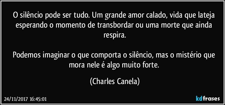 O silêncio pode ser tudo. Um grande amor calado, vida que lateja esperando o momento de transbordar ou uma morte que ainda respira.

Podemos imaginar o que comporta o silêncio, mas o mistério que mora nele é algo muito forte. (Charles Canela)