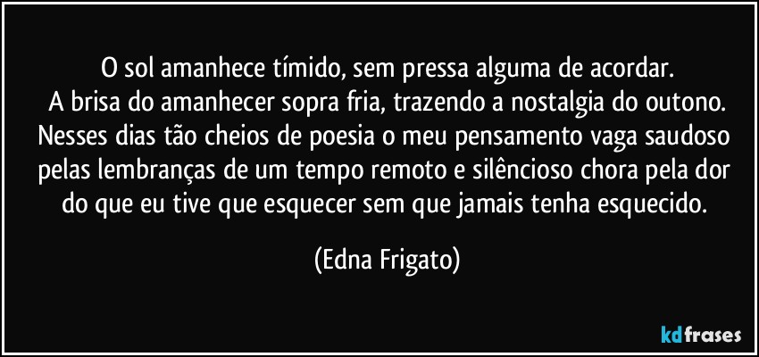 O sol amanhece tímido, sem pressa alguma de acordar.
A brisa do amanhecer sopra fria, trazendo a nostalgia do outono.
Nesses dias tão cheios de poesia o meu pensamento vaga saudoso pelas lembranças de um tempo remoto e silêncioso chora pela dor do que eu tive que esquecer sem que jamais tenha esquecido. (Edna Frigato)