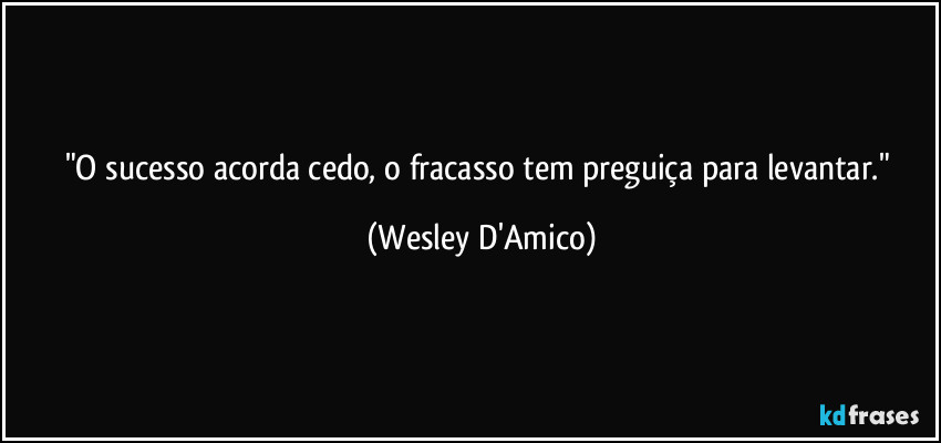 "O sucesso acorda cedo, o fracasso tem preguiça para levantar." (Wesley D'Amico)