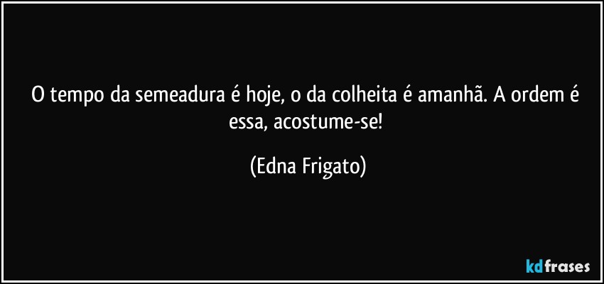 O tempo da semeadura é hoje, o da colheita é amanhã. A ordem é essa, acostume-se! (Edna Frigato)