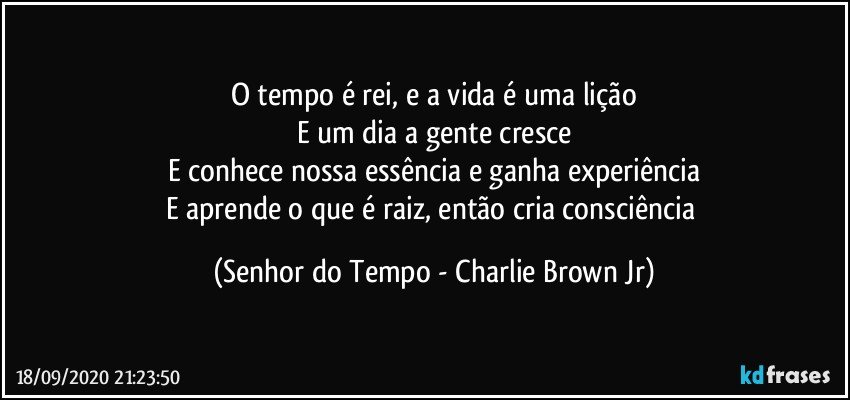 O tempo é rei, e a vida é uma lição
E um dia a gente cresce
E conhece nossa essência e ganha experiência
E aprende o que é raiz, então cria consciência (Senhor do Tempo - Charlie Brown Jr)