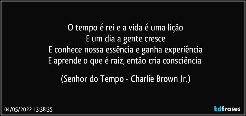 O tempo é rei e a vida é uma lição
E um dia a gente cresce
E conhece nossa essência e ganha experiência
E aprende o que é raiz, então cria consciência (Senhor do Tempo - Charlie Brown Jr.)