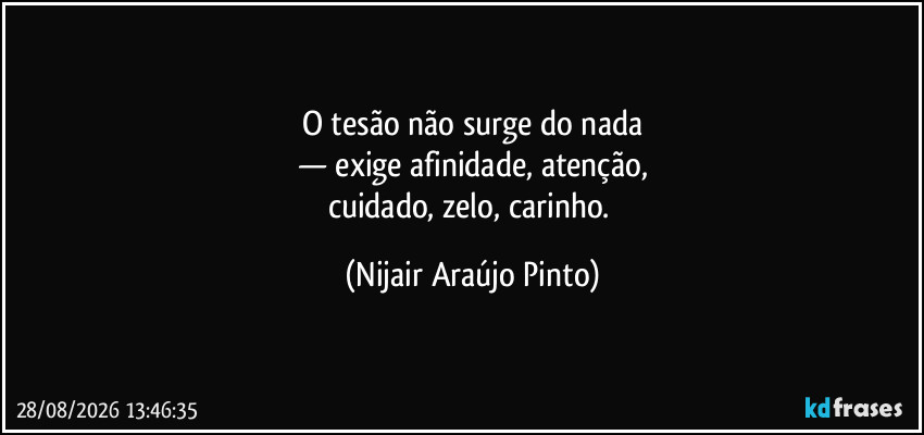 O tesão não surge do nada
— exige afinidade, atenção,
cuidado, zelo, carinho. (Nijair Araújo Pinto)