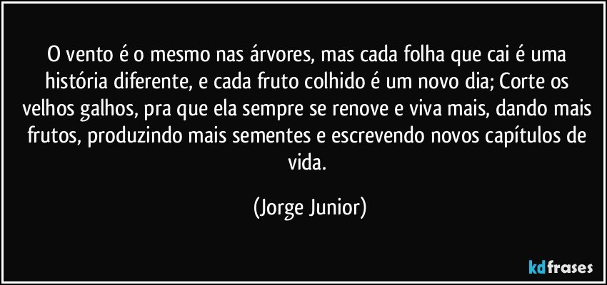 O vento é o mesmo nas árvores, mas cada folha que cai é uma história diferente, e cada fruto colhido é um novo dia; Corte os velhos galhos, pra que ela sempre se renove e viva mais, dando mais frutos, produzindo mais sementes e escrevendo novos capítulos de vida. (Jorge Junior)