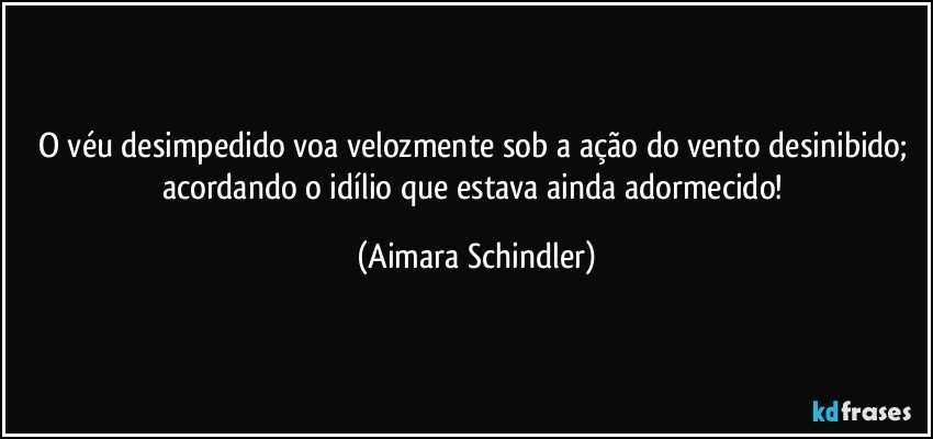 O véu desimpedido voa velozmente sob a ação do vento desinibido;  acordando  o idílio que estava ainda adormecido! (Aimara Schindler)