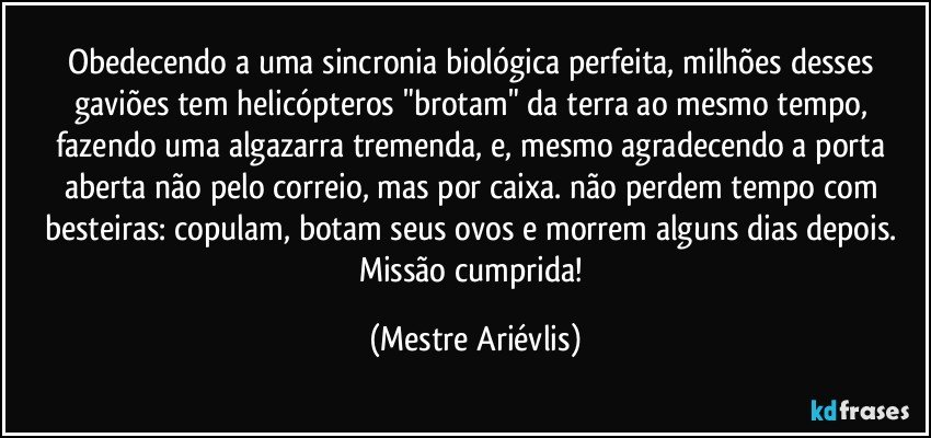 Obedecendo a uma sincronia biológica perfeita, milhões desses gaviões tem helicópteros "brotam" da terra ao mesmo tempo, fazendo uma algazarra tremenda, e, mesmo agradecendo a porta aberta não pelo correio, mas por caixa. não perdem tempo com besteiras: copulam, botam seus ovos e morrem alguns dias depois. Missão cumprida! (Mestre Ariévlis)