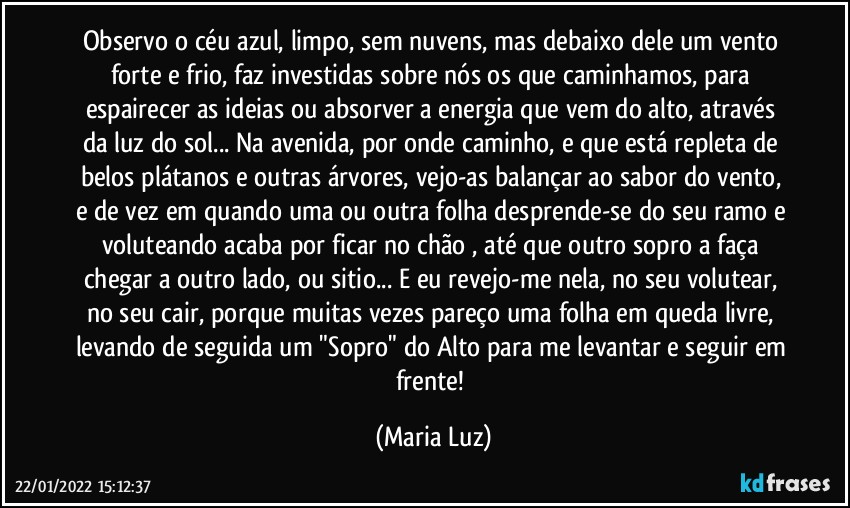 Observo o céu azul, limpo, sem nuvens, mas debaixo dele um vento forte e frio, faz investidas sobre nós os que caminhamos, para espairecer as ideias ou absorver a energia que vem do alto, através da luz do sol... Na avenida, por onde caminho, e que está repleta de belos plátanos e outras árvores, vejo-as balançar ao sabor do vento, e de vez em quando uma ou outra folha desprende-se do seu ramo e voluteando acaba por ficar no chão , até que outro sopro a faça chegar a outro lado, ou sitio... E eu revejo-me nela, no seu volutear, no seu cair, porque muitas vezes pareço uma folha em queda livre, levando de seguida um "Sopro" do Alto para me levantar e seguir em frente! (Maria Luz)