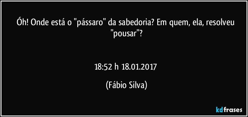 Óh!  Onde está o "pássaro" da sabedoria? Em quem, ela, resolveu "pousar"?


18:52 h  18.01.2017 (Fábio Silva)