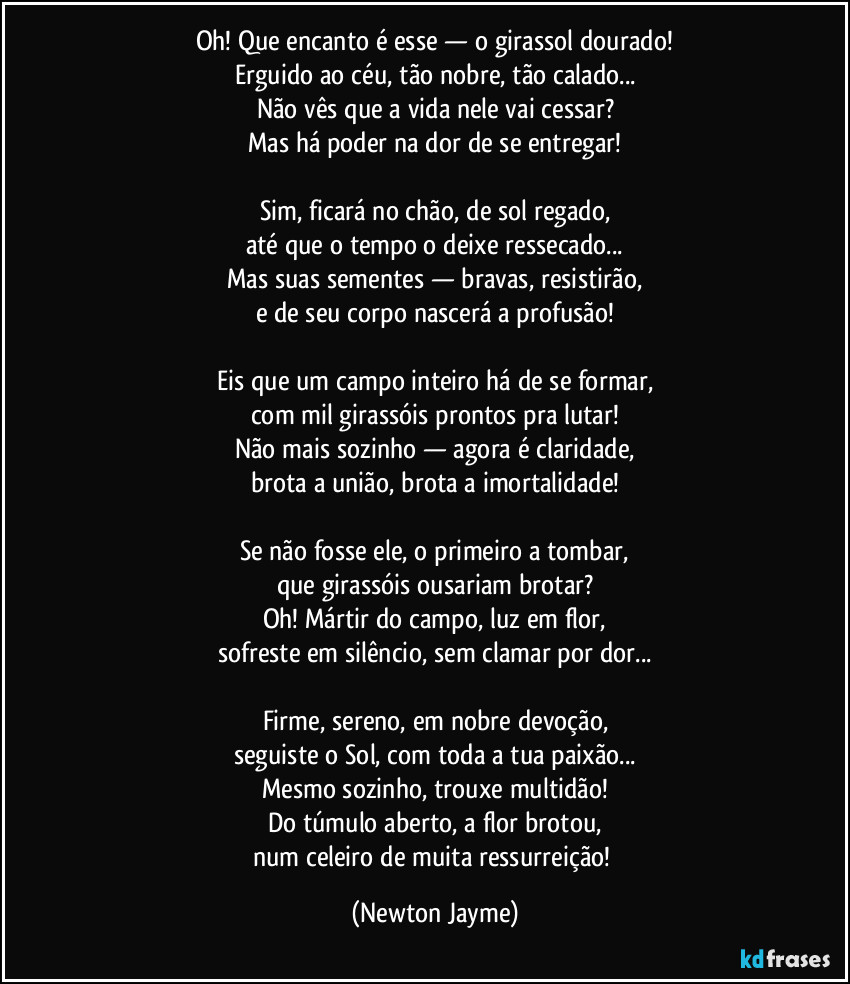 Oh! Que encanto é esse — o girassol dourado!
Erguido ao céu, tão nobre, tão calado...
Não vês que a vida nele vai cessar?
Mas há poder na dor de se entregar!
Sim, ficará no chão, de sol regado,
até que o tempo o deixe ressecado...
Mas suas sementes — bravas, resistirão,
e de seu corpo nascerá a profusão!
Eis que um campo inteiro há de se formar,
com mil girassóis prontos pra lutar!
Não mais sozinho — agora é claridade,
brota a união, brota a imortalidade!
Se não fosse ele, o primeiro a tombar,
que girassóis ousariam brotar?
Oh! Mártir do campo, luz em flor,
sofreste em silêncio, sem clamar por dor...
Firme, sereno, em nobre devoção,
seguiste o Sol, com toda a tua paixão...
Mesmo sozinho, trouxe multidão!
Do túmulo aberto, a flor brotou,
num celeiro de muita ressurreição! (Newton Jayme)