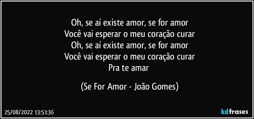 Oh, se aí existe amor, se for amor
Você vai esperar o meu coração curar
Oh, se aí existe amor, se for amor
Você vai esperar o meu coração curar
Pra te amar (Se For Amor - João Gomes)