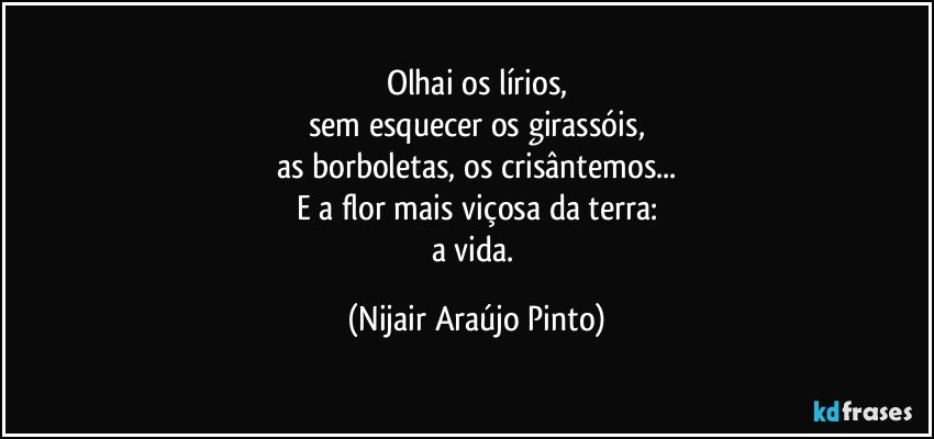 Olhai os lírios,
sem esquecer os girassóis,
as borboletas, os crisântemos...
E a flor mais viçosa da terra:
a vida. (Nijair Araújo Pinto)