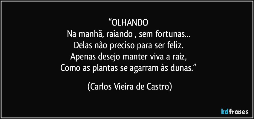 “OLHANDO 
Na manhã, raiando , sem fortunas... 
Delas não preciso para ser feliz. 
Apenas desejo manter viva a raiz, 
Como as plantas se agarram às dunas.” (Carlos Vieira de Castro)