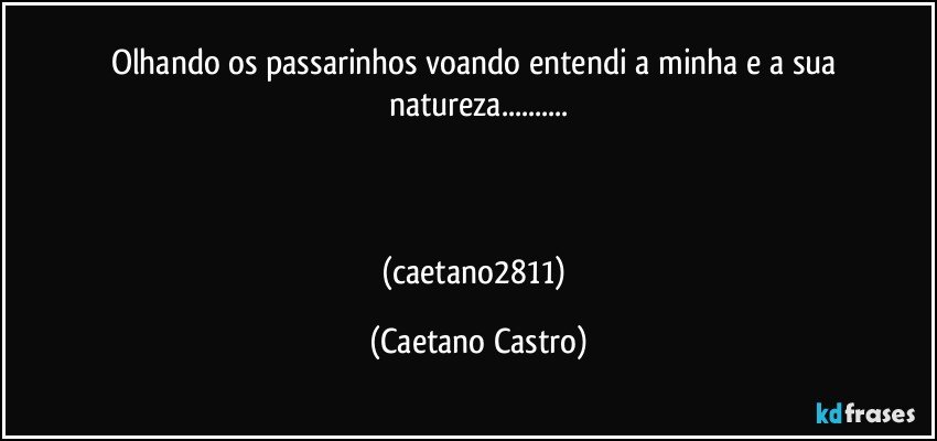 Olhando os passarinhos voando entendi a minha e a sua natureza...



(caetano2811) (Caetano Castro)