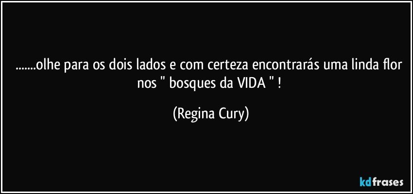 ...olhe para os dois lados e com certeza  encontrarás  uma linda flor nos "  bosques da VIDA "  ! (Regina Cury)