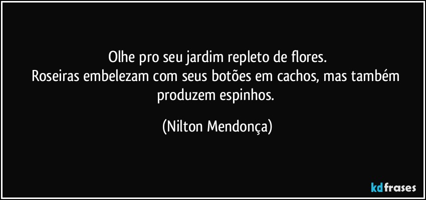 Olhe pro seu jardim repleto de flores.
Roseiras embelezam com seus botões em cachos, mas também produzem espinhos. (Nilton Mendonça)