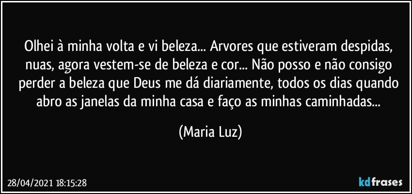 Olhei à minha volta e vi beleza... Arvores que estiveram despidas, nuas, agora vestem-se de beleza e cor... Não posso e não consigo perder a beleza que Deus me dá diariamente, todos os dias quando abro as janelas da minha casa e faço as minhas caminhadas... (Maria Luz)