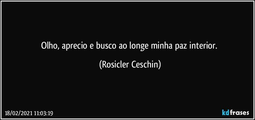 Olho, aprecio e busco ao longe minha paz interior. (Rosicler Ceschin)