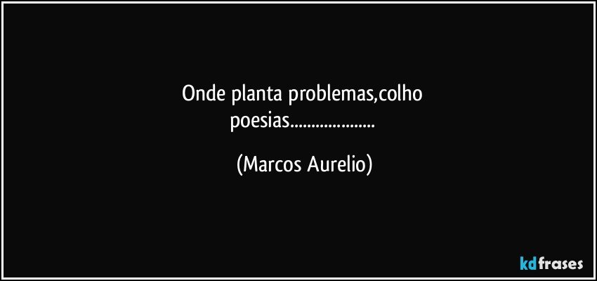 Onde planta problemas,colho 
poesias... (Marcos Aurelio)