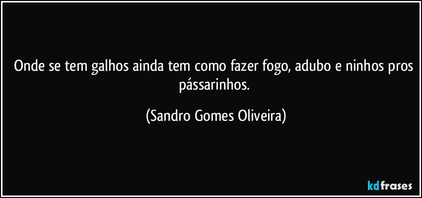 Onde se tem galhos ainda tem como fazer fogo, adubo e ninhos pros pássarinhos. (Sandro Gomes Oliveira)