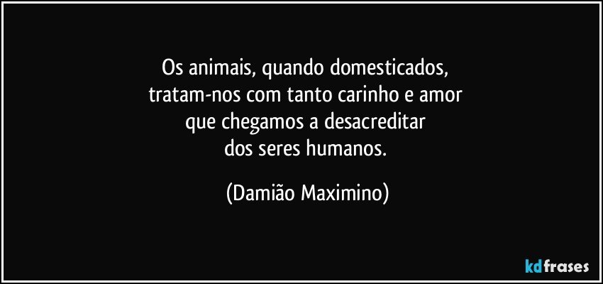 Os animais, quando domesticados, 
tratam-nos com tanto carinho e amor 
que chegamos a desacreditar 
dos seres humanos. (Damião Maximino)