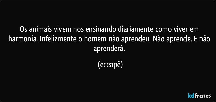 Os animais vivem nos ensinando diariamente como viver  em harmonia. Infelizmente o homem não aprendeu. Não aprende. E não aprenderá. (eceapê)
