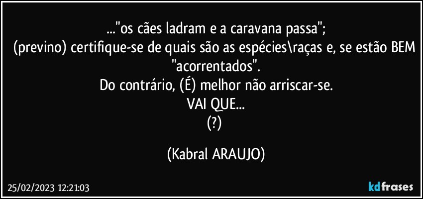 Os c es ladram e a caravana passa previno certifique se de